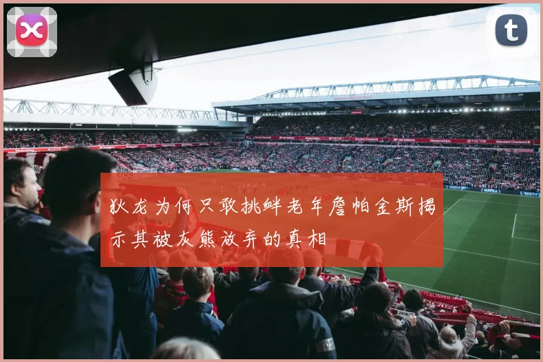 狄龙为何只敢挑衅老年詹帕金斯揭示其被灰熊放弃的真相