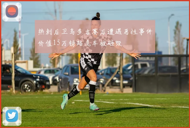 热刺后卫乌多吉赛后遭遇恶性事件价值15万镑路虎车被砸毁