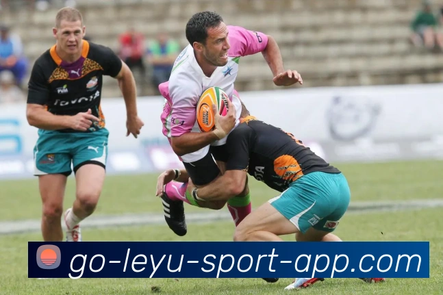 乐鱼体育发展历程